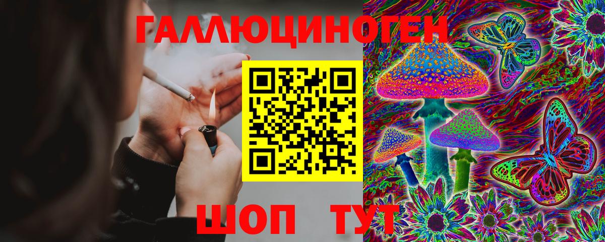 Галлюциногенные грибы прущие грибы Гурьевск