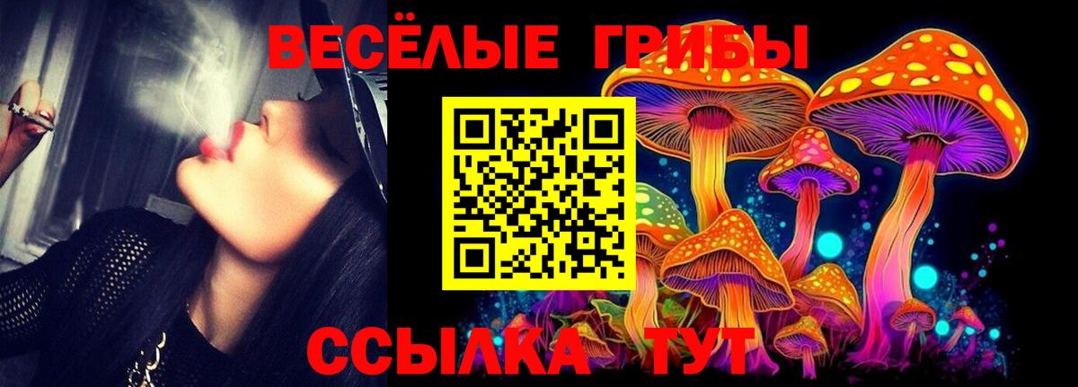 Гурьевск  Псилоцибиновые грибы Magic Shrooms  Вход с VPN 